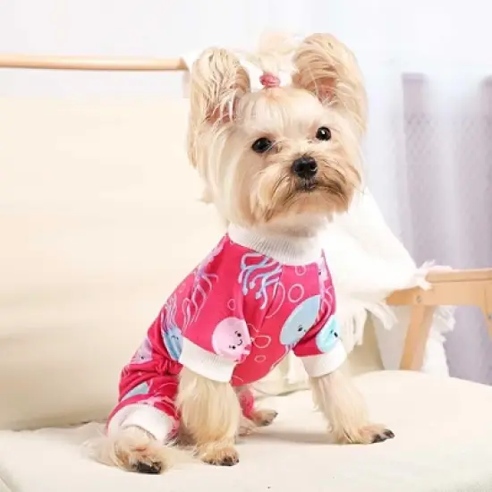Paaaawaters Dog Jumpsuit Cute Cartoon Animal Print Velvet Puppy Warm Clothes image {8}