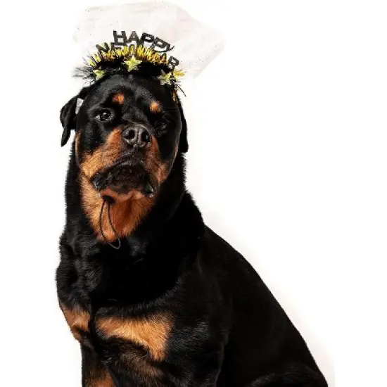 Midlee Happy New Year Dog Headband image {1}