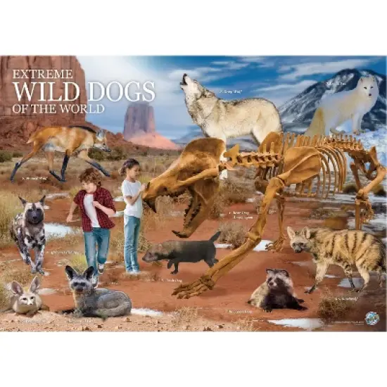 WILD! Environmental Science Extreme WILD! Dogs of the World image {4}