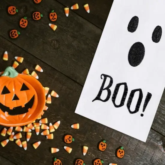 C&F Home Boo Ghost Halloween Cotton Embroidered Flour Sack Kitchen Dishtowel image {2}