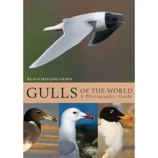 Gulls of the World - by  Klaus Malling Olsen (Hardcover) image {1}