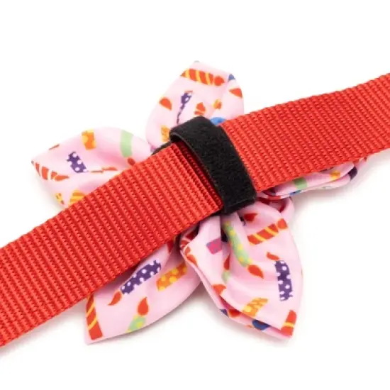 The Worthy Dog It's My Birthday Adjustable Flower Accessory image {1}