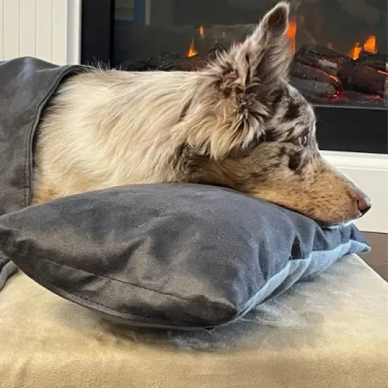 BuddyRest Soothe Anti-Anxiety Calming Dog Pillow image {3}