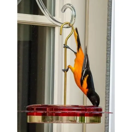 Birds Choice 12oz Hummerfest Hummingbird Feeder: Weather-Resistant, Bee Proof Ports, Brass Hanger image {6}