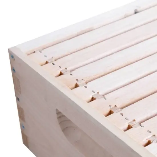 Lehman's Beekeeping Beehive Box, 10 Frame Medium Assembled Super or Brood Honeybee Hive Box with Plastic Foundation Frames, Amish Made image {3}