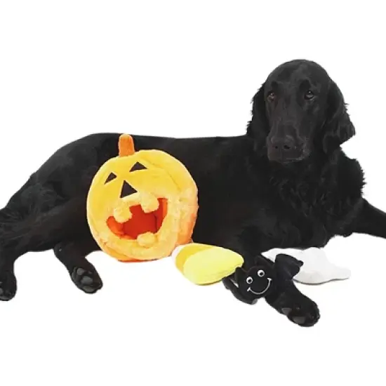 Midlee Pumpkin Find a Toy Halloween Dog Toy image {3}