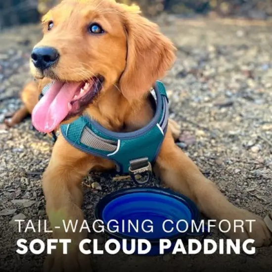 Embark Harness Co. Adventure No Pull Dog Harness image {2}