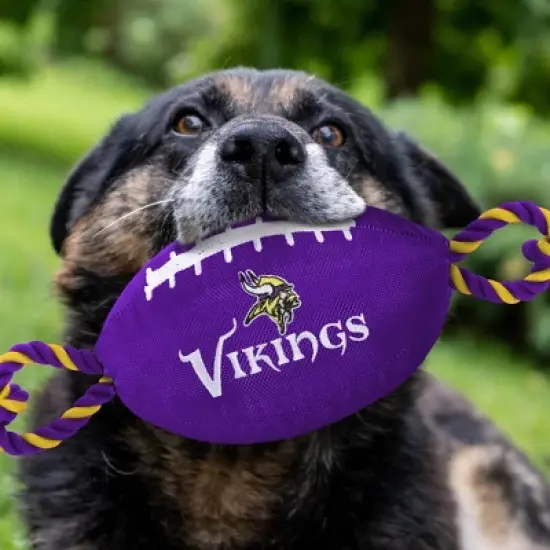 NFL Minnesota Vikings Nylon Football image {1}