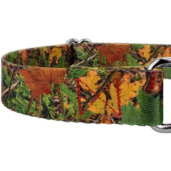 Country Brook Petz Southern Forest Camo Martingale Dog Collar image {3}