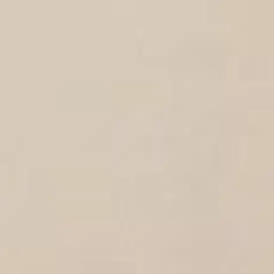 Palm Harbor 2pc Outdoor Wicker Seating Set with Cushions - Two Outdoor Wicker Chairs - Crosley image {2}