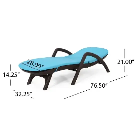 PAGED Patio Chaise Lounge Modern Lounge Chair with Cushion Comfortable Recliner for Garden, Poolside image {4}