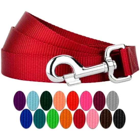 Country Brook Petz 6ft By 3/4 Inch Heavyduty Doublehandle Nylon Leash image {20}