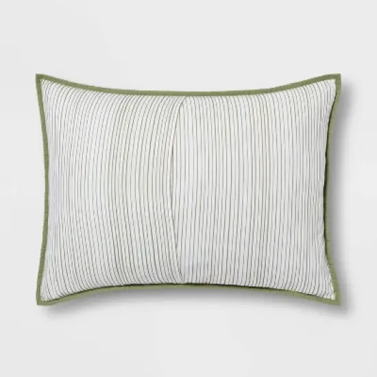 Dinosaur Poly Cotton Reversible Kids' Sham - Pillowfort&trade; image {3}