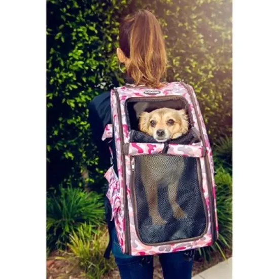 Petique 5-in-1 Pet Stroller Complete Set with Pet Carrier and Stroller Frame image {5}