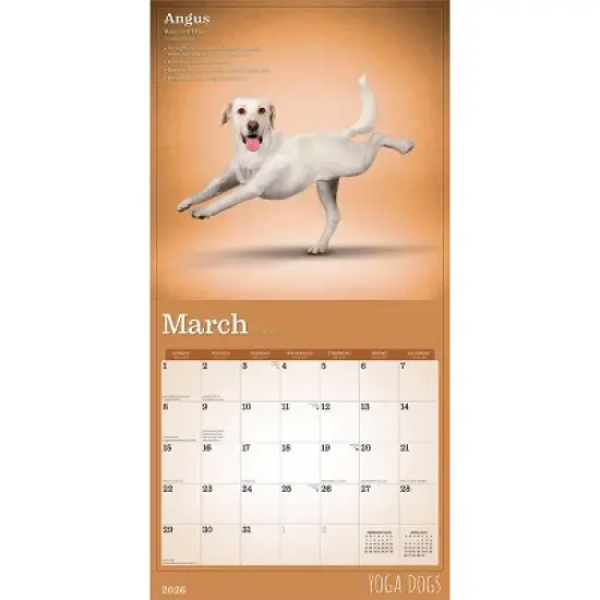 BrownTrout Yoga Dogs 2026 12"x24" Hanging Square Wall Calendar Plastic-Free image {2}