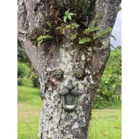 Fun Express Birdfeeder Tree Face Glow in the Dark Home Decor - 3 Pieces image {4}