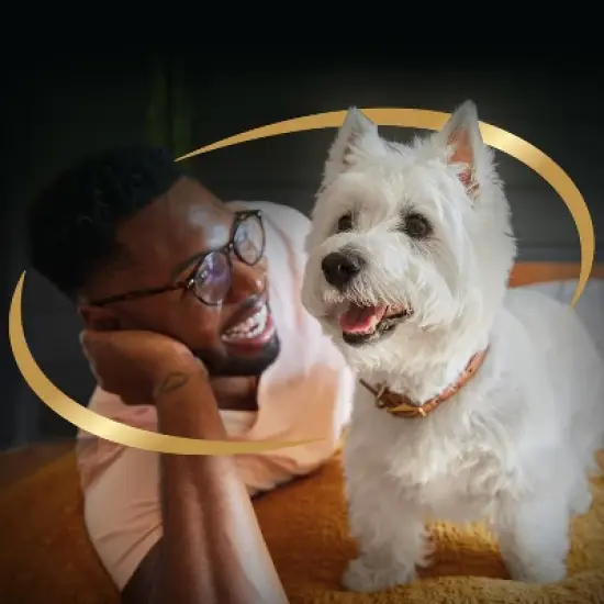 Cesar Classic Loaf in Sauce Turkey and Gravy Flavor Small Breed Wet Dog Food - 3.5oz image {7}