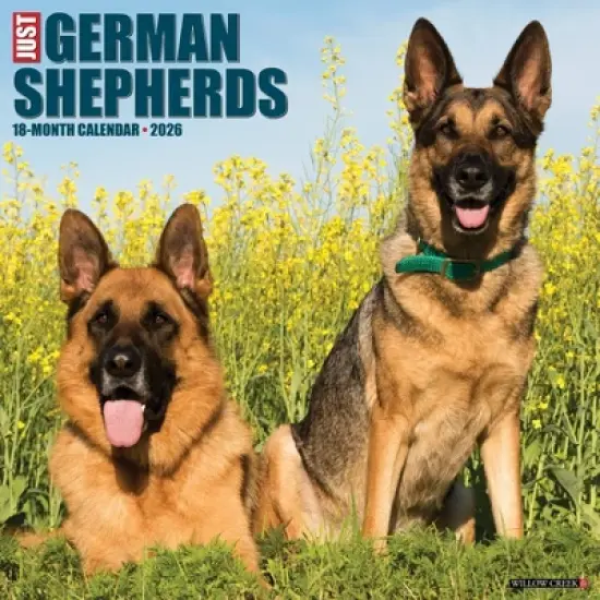 Willow Creek Press 2026 German Shepherds Wall Calendar image {5}