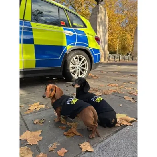 Parisian Pet 'Police' K-9 Unit Dog Outfit &ndash; Comfortable Uniform for Small Dogs & Cats, Black image {2}