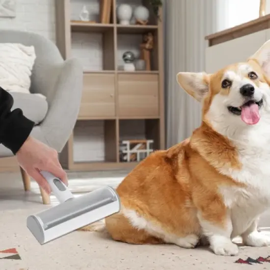 Unique Bargains Lint Roller for Pet Hair Light Gray 1 Pc image {1}