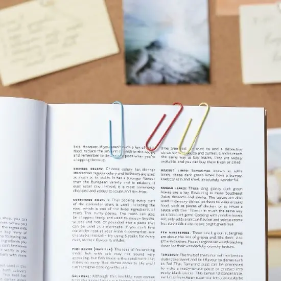 Staples Jumbo Vinyl Coated Paper Clips Smooth 500/Tub 480109 image {2}