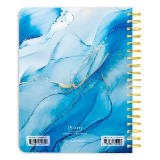 Plato Crackled Blush Desk Planner with Foil Stamped Cover July 2025 - December 2026 image {1}