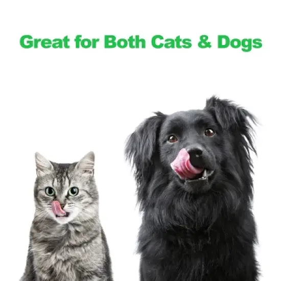 Set of 2 Elevated Dog Bowls - Stainless-Steel 40-Ounce Food and Water Bowls for Dogs and Cats in a Raised 3.5-Inch-Tall Decorative Stand by PETMAKER image {4}