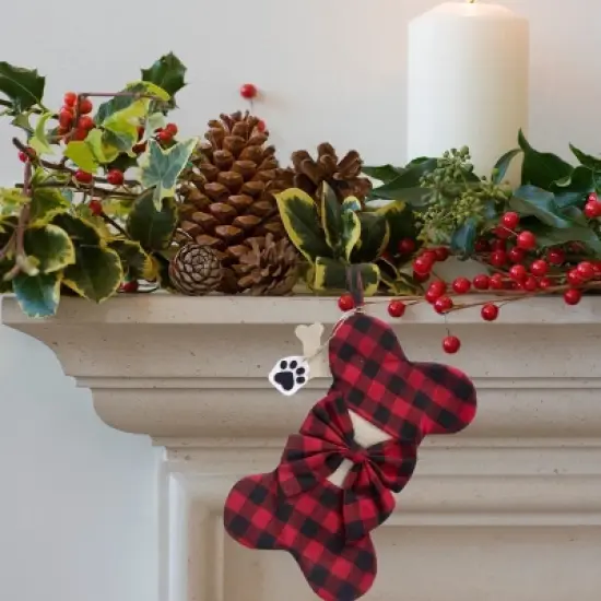 Season's Designs 20In Pet Bone Stocking image {3}