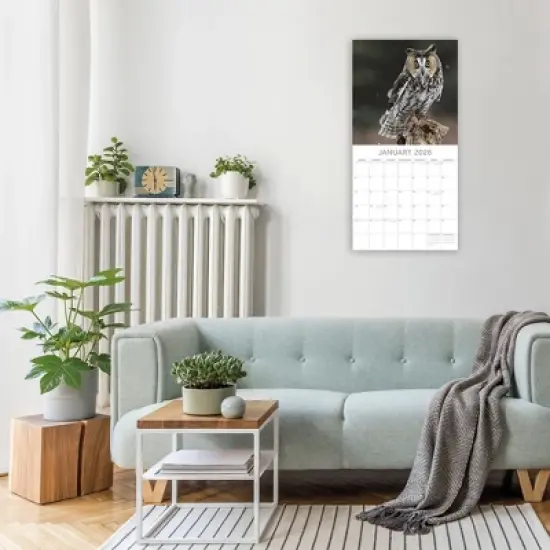 2026 Square Wall Calendar, Owls, 16-Month Animals Theme with 180 Reminder Stickers (12x12 In) image {1}