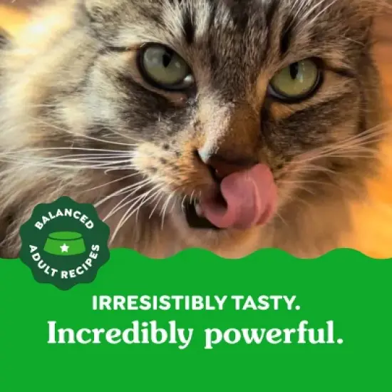 Greenies Catnip Flavor Dental Cat Treats image {7}