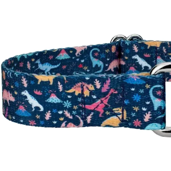 Country Brook Petz Dinosaurs Martingale Dog Collar and Leash image {4}