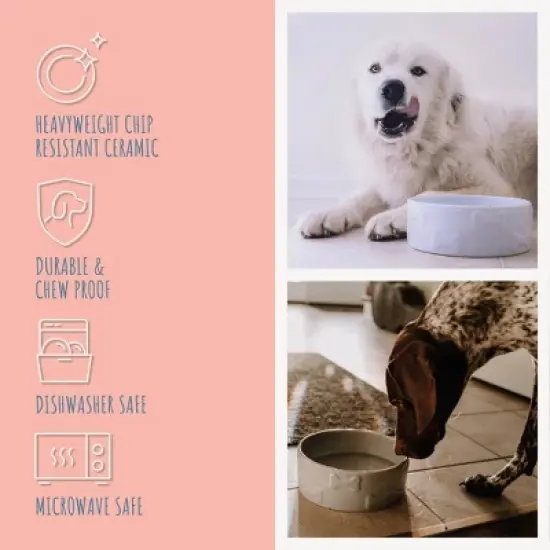 Park Life Designs 2c Manor Dog Bowl - White image {6}