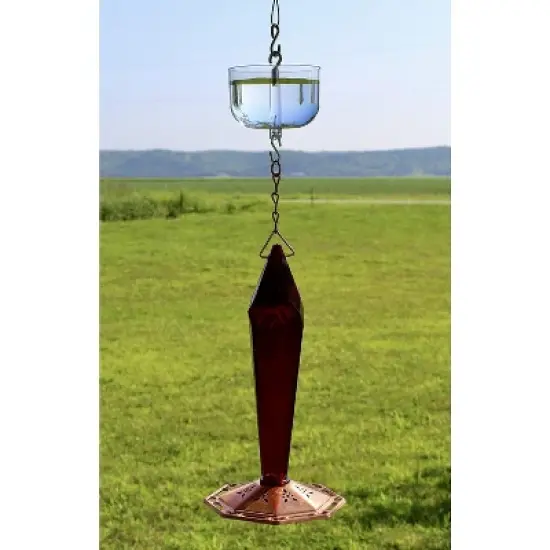 Songbird Essentials SE624 Clear Nectar Protector Jr. image {5}