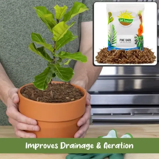 Soil Sunrise 100% Natural Pine Bark Mulch, for Container Gardening, Soil Supplement, Houseplants, Terrariums image {4}