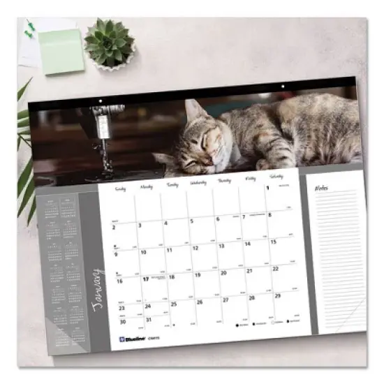 Pets Collection Monthly Desk Pad, Furry Kittens Photography, 22 x 17, White Sheets, Black Binding, 12-Month (Jan-Dec): 2026 image {4}