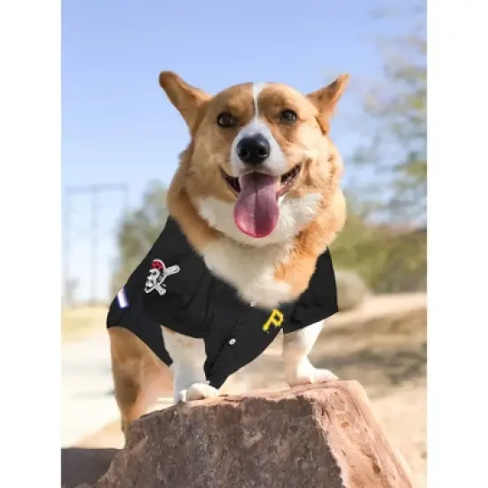 MLB Pets First Pet Baseball Jersey - Pittsburgh Pirates image {4}