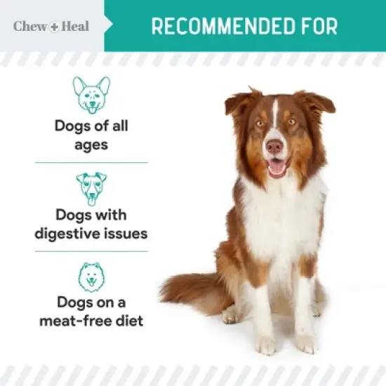 Chew + Heal Wild-Caught Alaskan Salmon Probiotic Soft Jerky Treats for Dogs, Natural Source of EPA & DHA, Promotes Intestinal Well-Being - 12oz image {5}