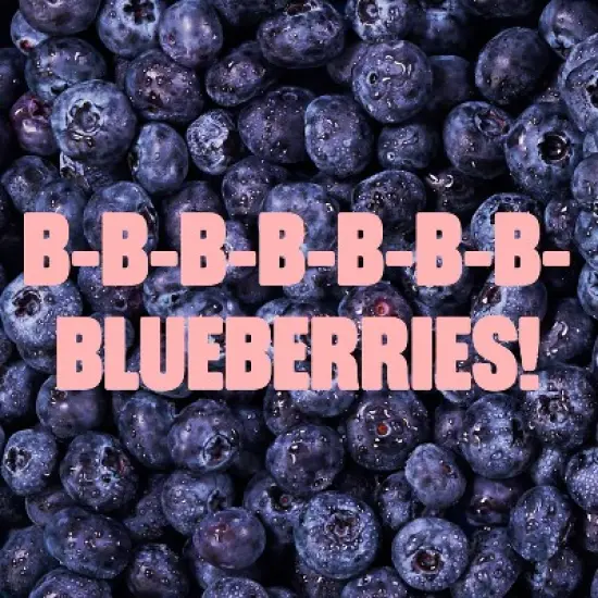 Noosa Yogurt image {6}