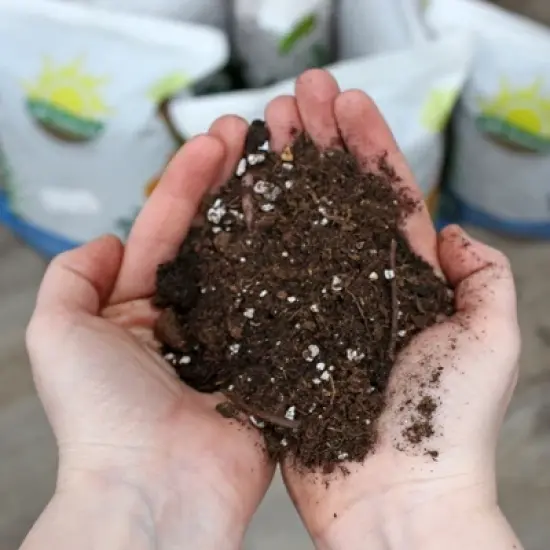 Soil Sunrise Indoor Herb Planter Potting Mix, for Container Gardening image {4}