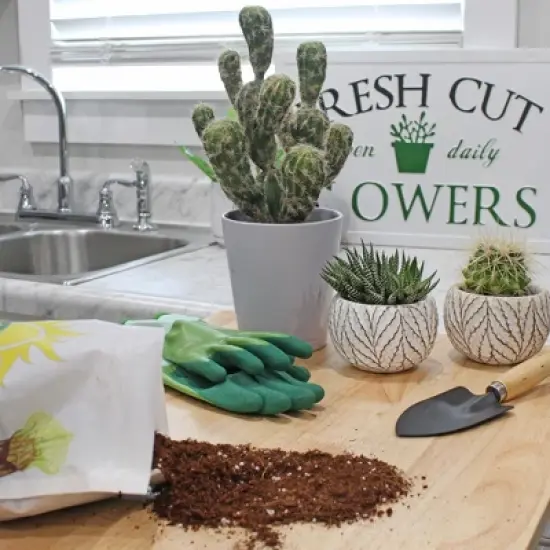 Soil Sunrise Coco Peat Perlite Potting Mix Loose Coconut Coir and Perlite image {3}