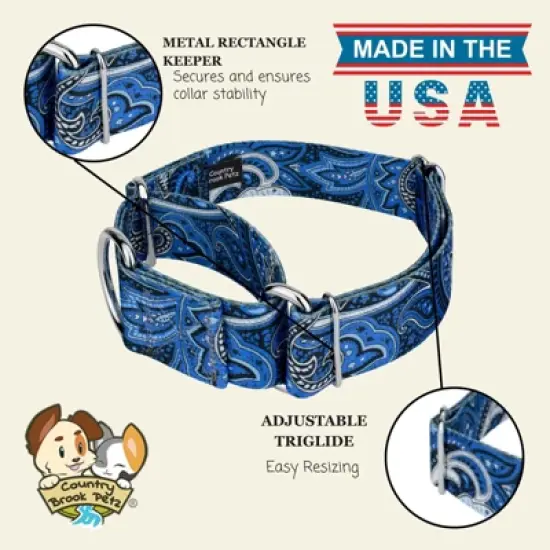 Country Brook Petz HossFit Jr Wide Martingale Dog Collar - Paisley Collection image {7}