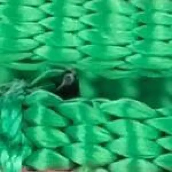 The Worthy Dog Pineapples Dog Collar image {2}