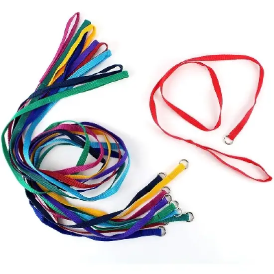 Midlee 4 Foot Dog Kennel Slip Lead Heavy Duty Nylon Pack of 10 image {7}