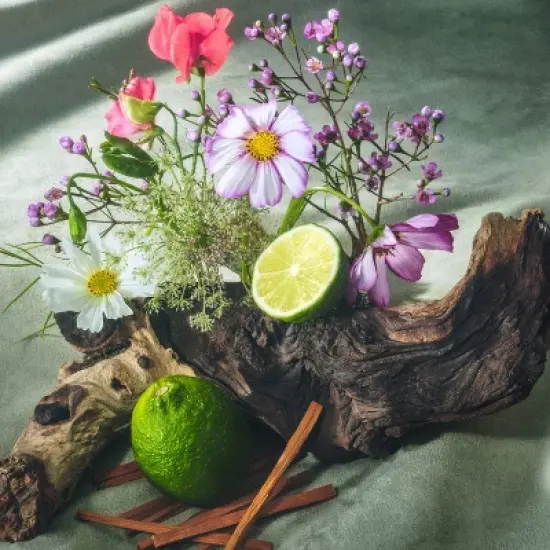 Being Frenshe Milky Moisturizing Bath Bomb Set with Essential Oils - Bergamot Cedar - 6ct/3oz image {4}