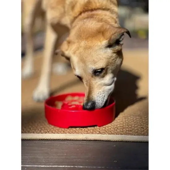 Santa Design eBowl Enrichment Slow Feeder Bowl for Dogs image {8}