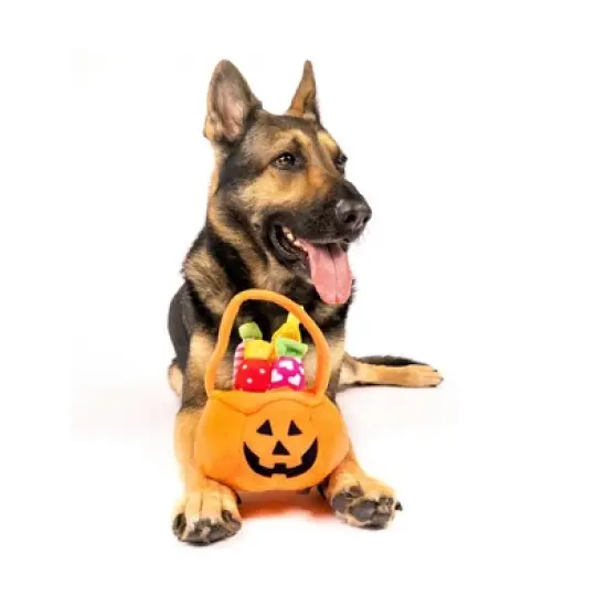 Midlee Find a Toy Halloween Pumpkin Bucket Dog Toy image {1}