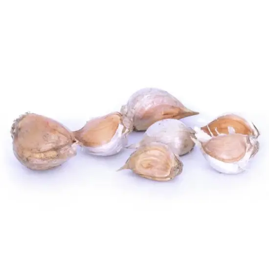 Van Zyverden 3ct Cloves Elephant Garlic image {3}