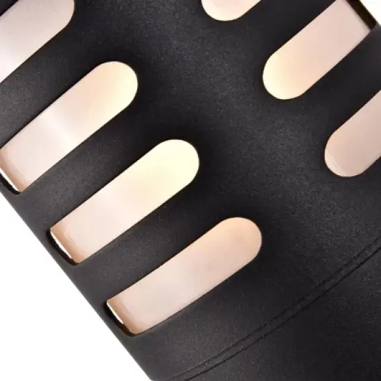 C Cattleya 2-Light Matte Black Die-cast Aluminum Outdoor Wall Sconce image {3}