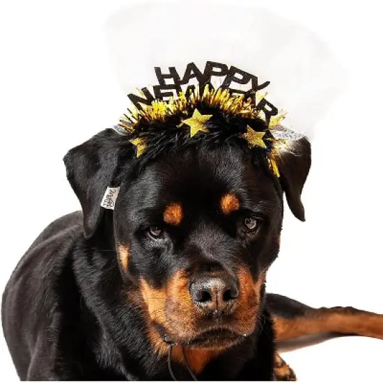 Midlee Happy New Year Dog Headband image {5}