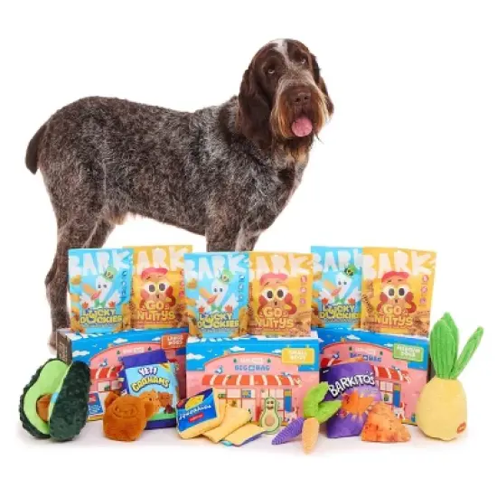 BARK Beg-n-Bag Large Box Dog Plush Toy Set - 5pc image {6}